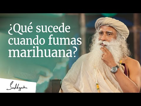 ¿Qué sucede cuando fumas marihuana? │Sadhguru