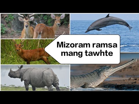 Mizoram ramsa mang tawhte