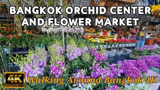 FLOWER MARKET AND ORCHID CENTER CHATUCHAK | Walking Around Bangkok Thailand 🇹🇭