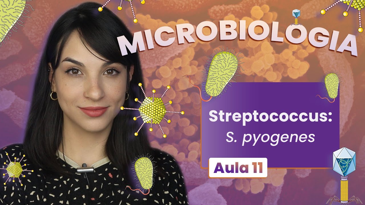 STREPTOCOCCUS: S.pyogenes | Videoaula | Microbiologia | Flavonoide #11