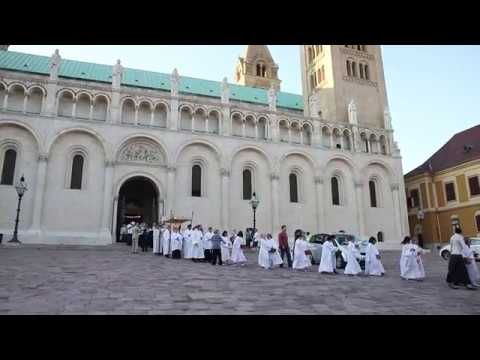 Testvérem vagy – Úrnapja ünnepe a pécsi Székesegyházban