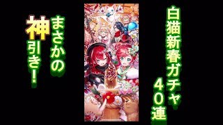 【白猫】新春ガチャ４０連！