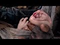 Wrong Turn 2 Ending