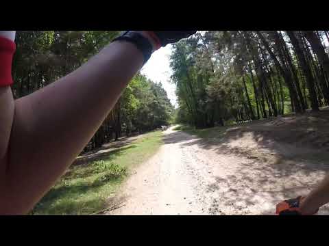 Mestecănișul de la Reci | Covasna