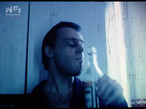 Mielőtt befejezi röptét a denevér (Tímár Péter, 1989, részlet)