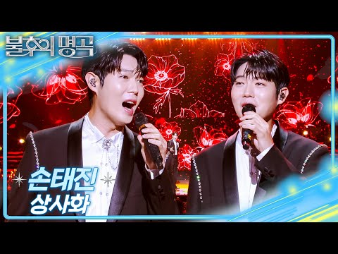 손태진 - 상사화 [불후의 명곡2 전설을 노래하다/Immortal Songs 2] | KBS 251220 방송