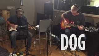 The Bottle Rockets "Dog" Live @ SiriusXM // Outlaw Country