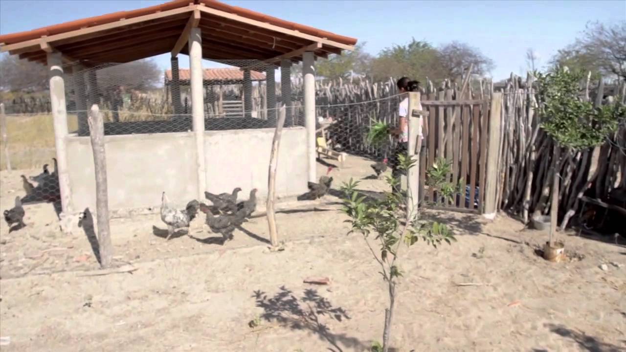 Sistemas Agroecológicos e acesso a mercados