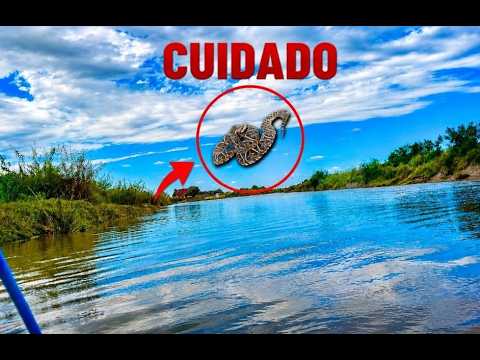 MUY VENENOSAS! - Pesca Kayakismo y un Susto en el Rio Gualeguay 🎣🚣‍♀️🐍 #kayakfishing #riogualeguay