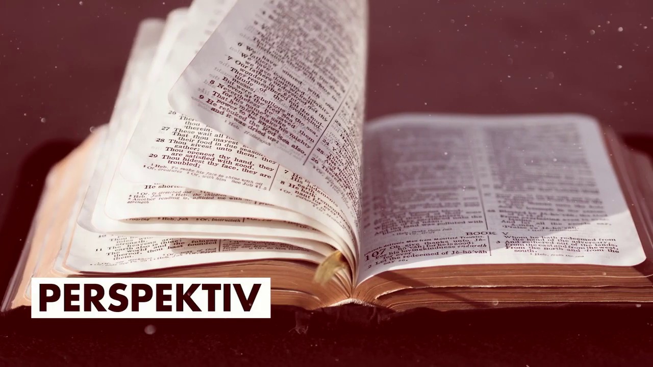 Perspektiv 10 juni