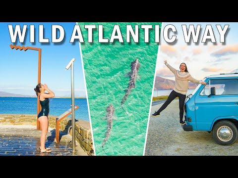 Wild Camping on the Wild Atlantic Way (Basking sharks + surprise visitor) | Part 2