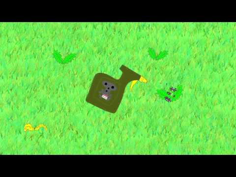 MWMO3 types of weeds