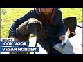 Bizarre actie restaurant: menukaart voor honden