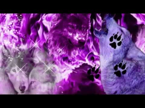 AFTER ANALOG  //  FIRE ESCAPE