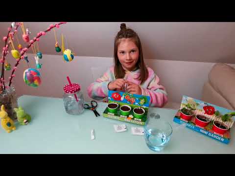 Mein mini Garten #garden #plants  #vegitables