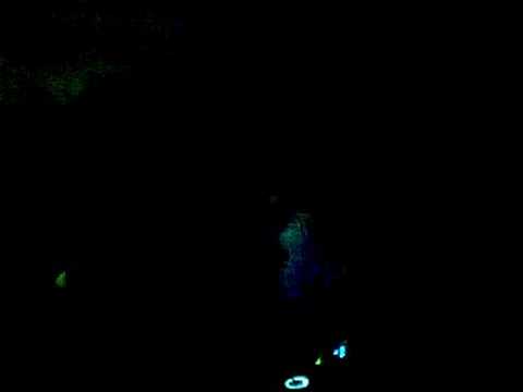 Pagal (FWD) - Daimon - 27 august 2008