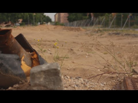 SWK Mannheim stellt sich vor