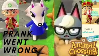 PRANK! went WRONG! Raymond and the pitfall trap WATCH til the End Animal Crossing New Horizons