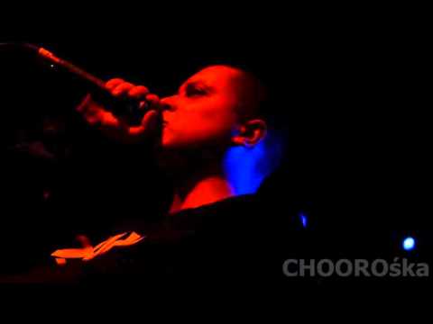 Korzeń(Barwne Postacie)- "Czy biorę...?"