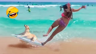 Best Funny Animal Videos 2022 😂😺 - Funniest Dogs And Cats Videos 😇