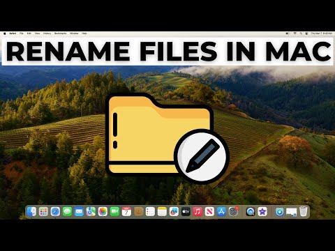 How to Copy and Paste on MacBook