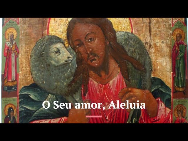 Preview do vídeo