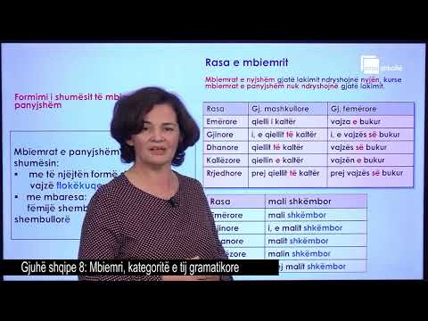 Mbiemri, kategoritë e tij gramatikore| Gjuhë shqipe 8