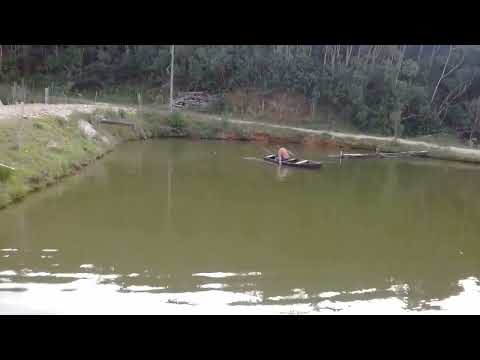 Cadê o remo? pescaria na lagoa(wiiiiilllsoooomm)