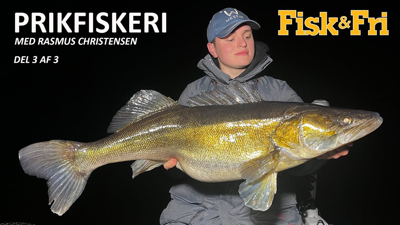 NY VIDEO: PRIKFISKERI – DEL 3 Af 3