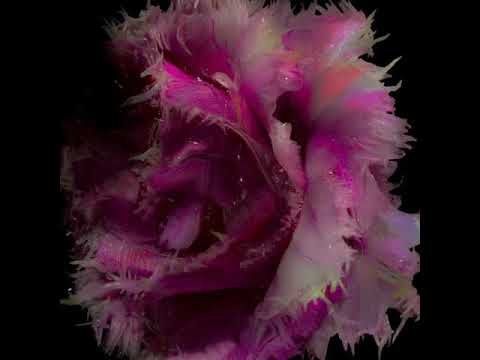 Falhaber - Pump it Loud