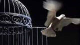 Regresa Cuando Quieras.wmv