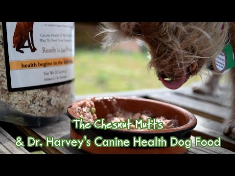 download lagu mp3 mp4 Dr Harveys Canine Health, download lagu Dr Harveys Canine Health gratis, unduh video klip Dr Harveys Canine Health