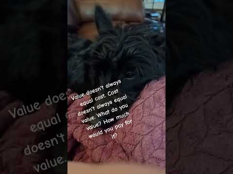 Cost vs Value #value #successtips #opportunity #carpediem