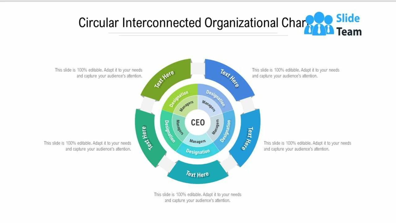Circular Interconnected Organizational Chart