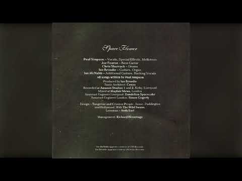 1. Melting Blue Delicious  - THE WILD SWANS - Space Flower 1990 #thewildswans #spaceflower