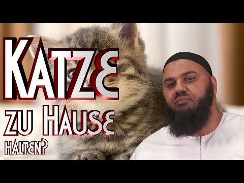 KATZE ZU HAUSE HALTEN OK? mit A. Abul Baraa in Braunschweig
