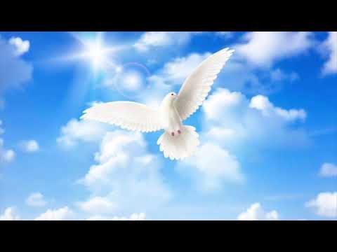 Mamz winner feat Badara Naby