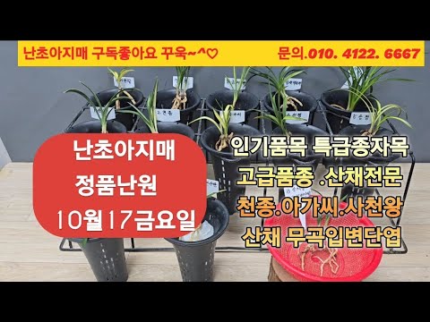 유튜브 썸네일