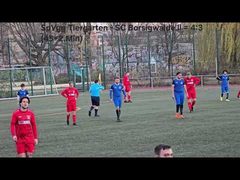 SpVgg Tiergarten - SC Borsigwalde ll (Highlights)