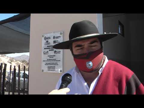 Salta tiene su primer establecimiento de faena de ganado menor y camélidos