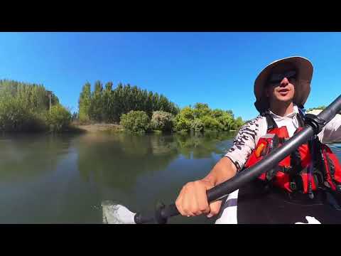 Casi pesca y mucho kayak en el Rio Negro -Cervantes a Chichinales! EXPEDICION RIO NEGRO 2026 CAP 3