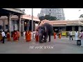 Tiruvannamalai Annamalaiyar Song WhatsApp Status Video Tamil SSP ANBE SIVAM