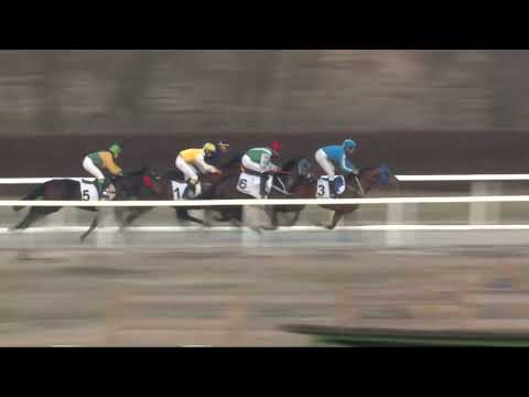 2022.03.20. 08. futam - MÁRCIUSI HENDIKEP (IV.o.) (szintetikus pálya)