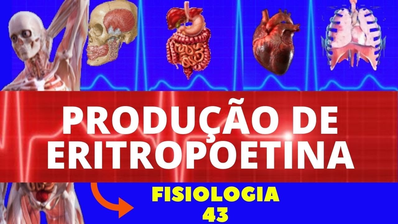 ERITROPOETINA ( PRODUÇÃO E AÇÃO) - FISIOLOGIA HUMANA - FISIOLOGIA RENAL - FISIOLOGIA DE GUYTON