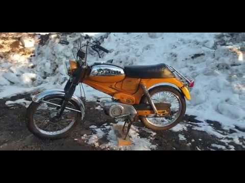 Puch Dakota Guld -74