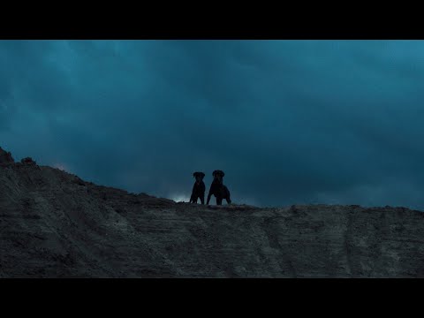 NTO 🔗 Sofiane Pamart - Loyalty (Official Video)