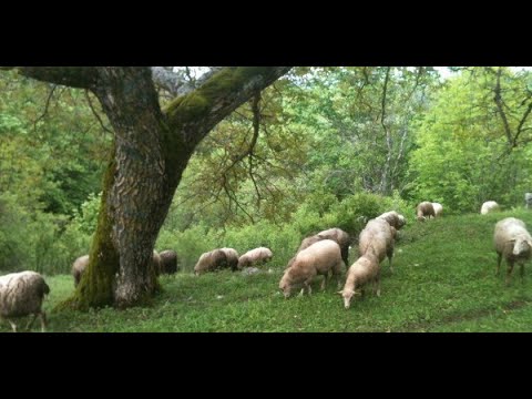 LIKA BAŠ DANAS - LIČKA OPUSTJELA SELA - RAMLJANI.