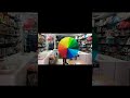 Rainbow Multicolor Umbrella