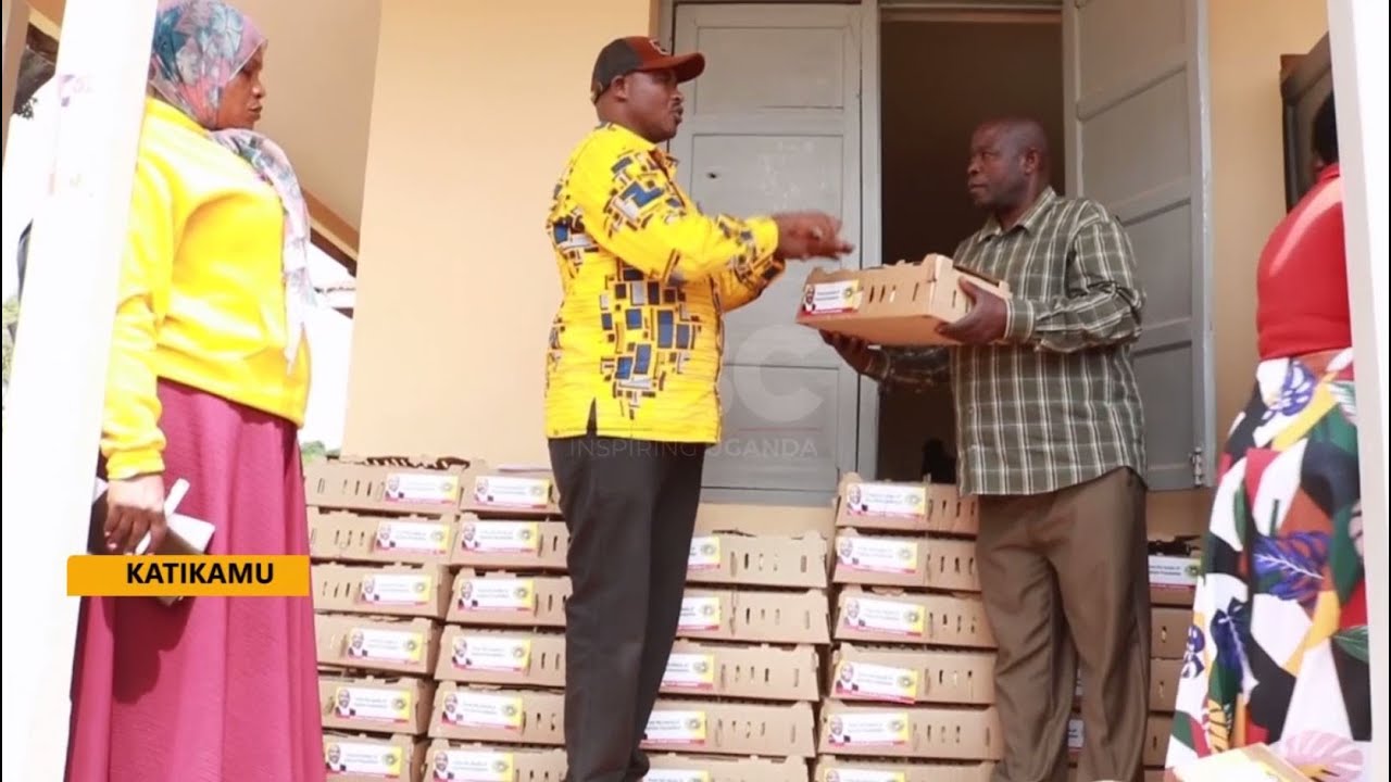 Do not sell donated chicks before maturity for prosperity