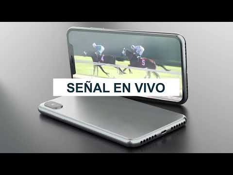 Elturf.com